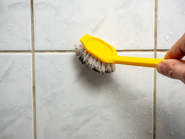 Best Mold Removal Specialists  in Springdale, PA