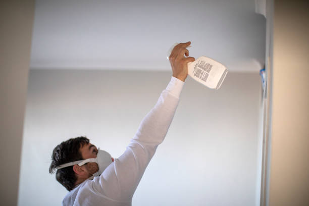 Best Commercial Mold Removal  in Springdale, PA