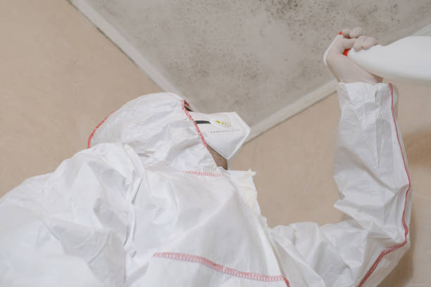 Best Mold Testing  in Springdale, PA
