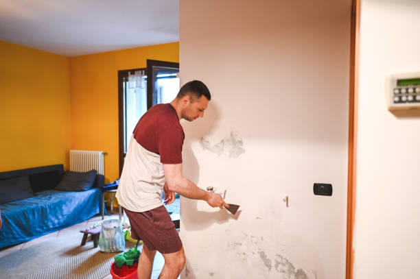 Best Attic Mold Removal  in Springdale, PA